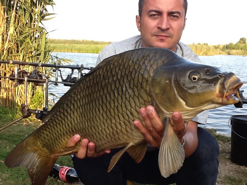 Mai multe poze.....:) - image1111111.jpg